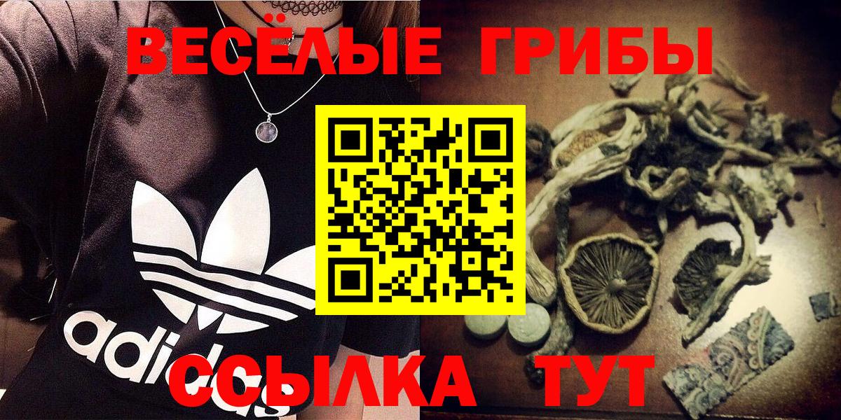 Галлюциногенные грибы GOLDEN TEACHER Благодарный