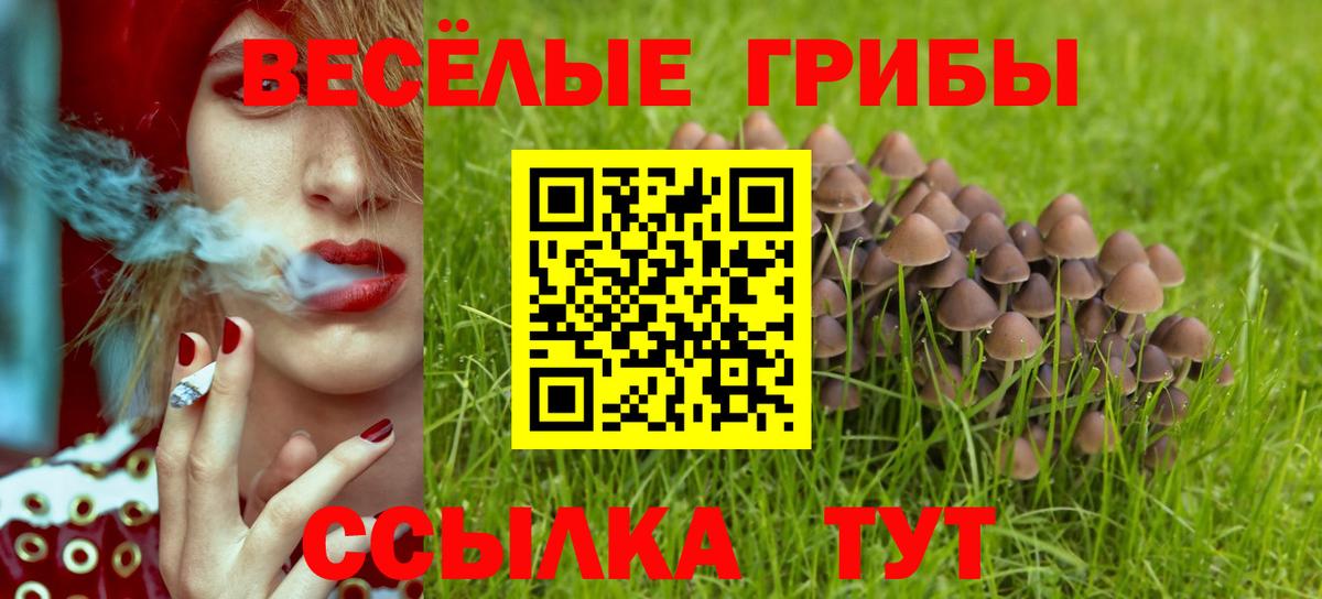 Благодарный  Галлюциногенные грибы мухоморы  где купить наркотик  Вход с VPN 